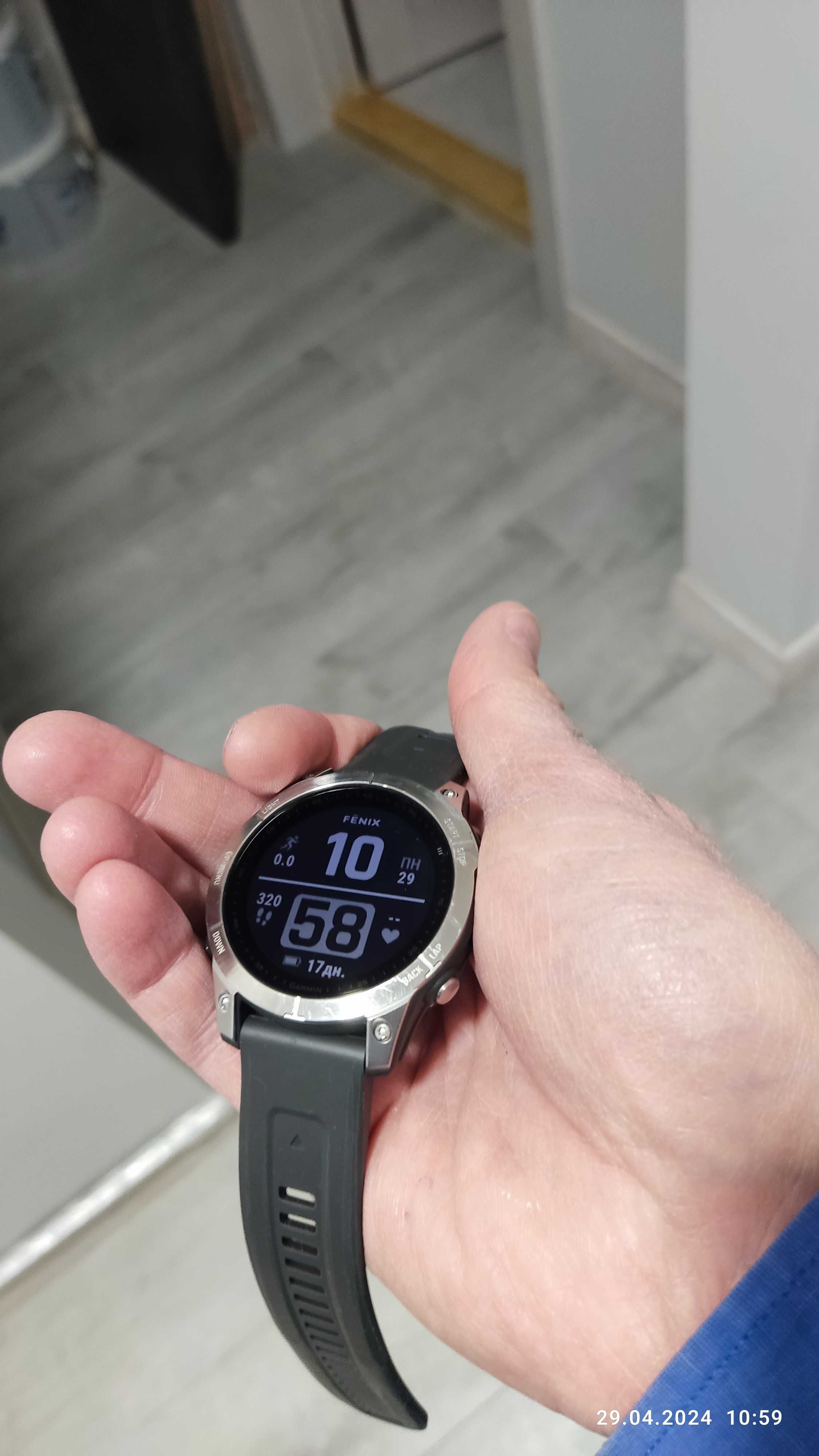 Годинник Garmin Fenix 7 Standard Edition Silver with Graphite Band