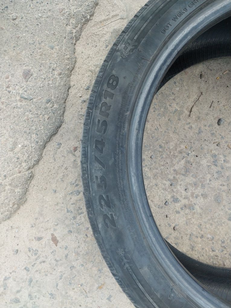 Шини gripmax 225/45r18