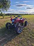 Quad Jinling Bashan 250