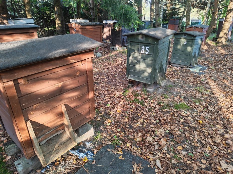 Sprzedam ule warszawskie poszerzane