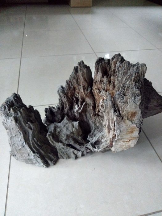 Koreń Jagged Wood do akwarium terrarium duży