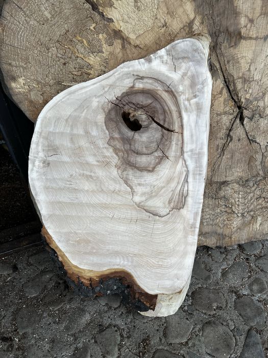 Слеб дуб , капова тополя ) термо дошка торцеві спили