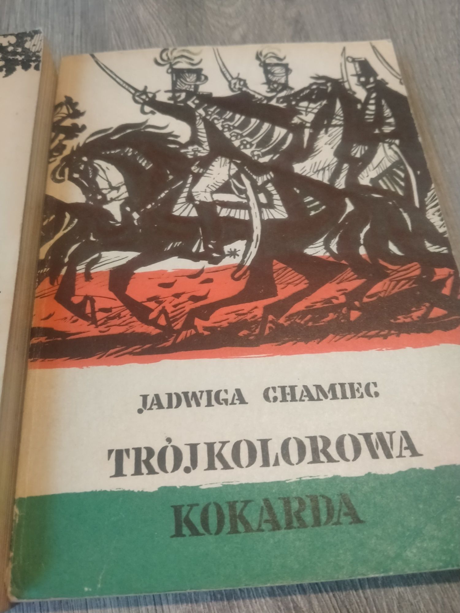 Jadwiga Chamiec Cięższą podajcie mi zbroję/Trójkolorowa kokarda