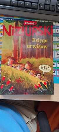 księga urwisów niziurski