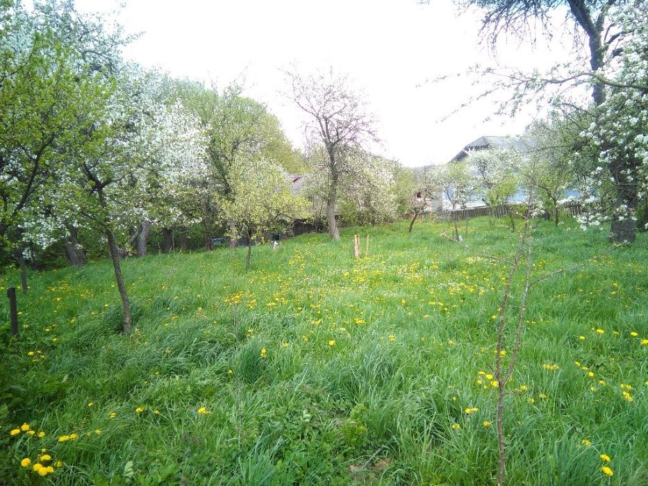 Продам ділянку в с.Боднарів Івано Франківська область калуський район