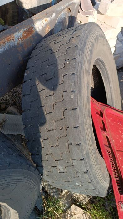 Продам скаты две штуки