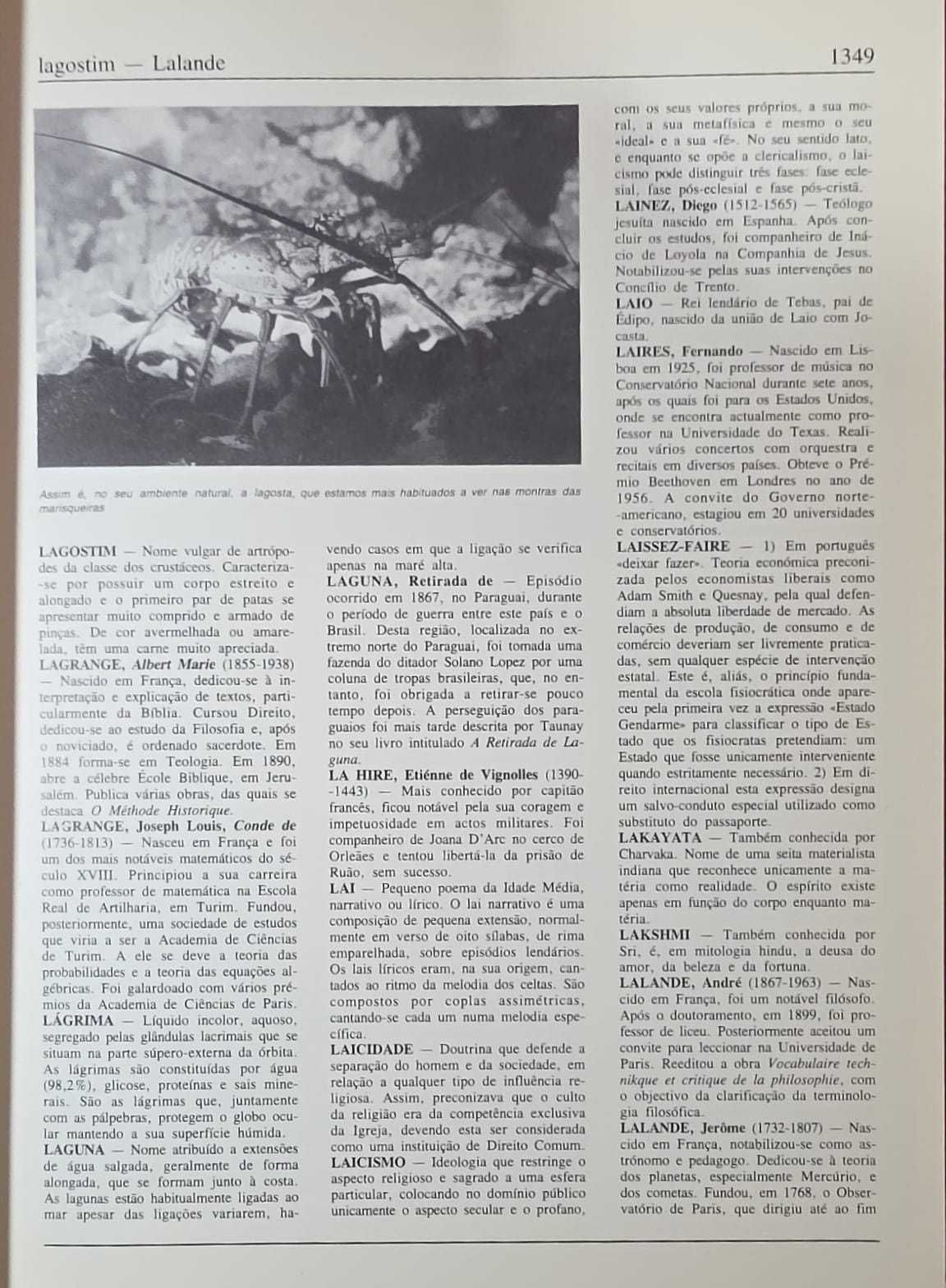 Nova Enciclopédia portuguesa 25 volumes - Ref EM