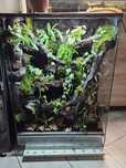 Terrarium 66x44x95