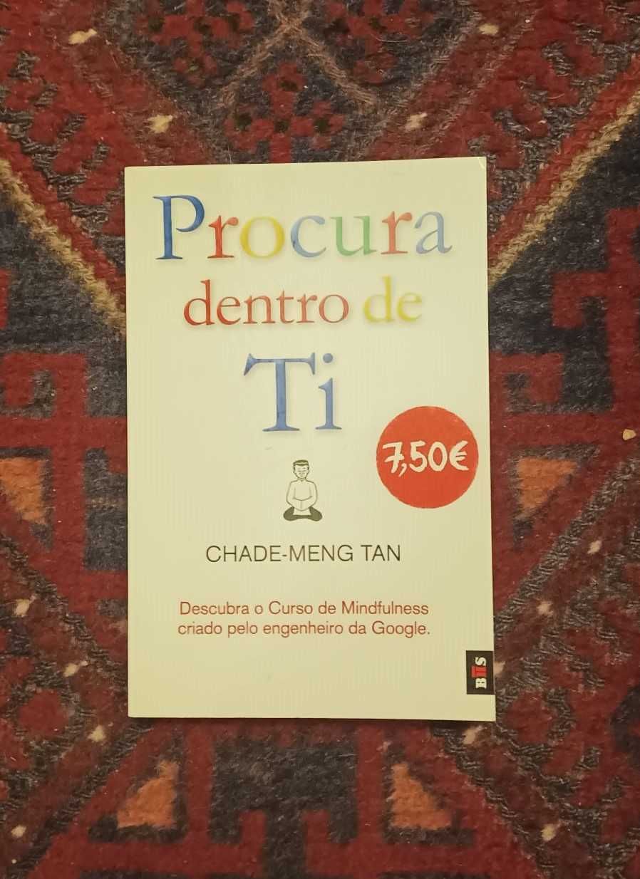 Procura Dentro de Ti de Chade-Meng Tan