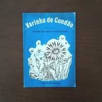 "Fichas de língua portuguesa Varinha de condão - 3°ano", 1982