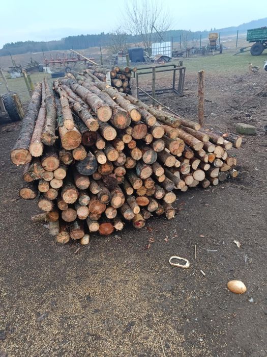 Stemple budowlane sosna