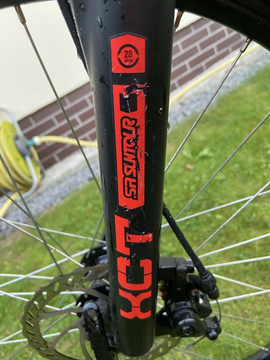 Rower Kellys Whip 10