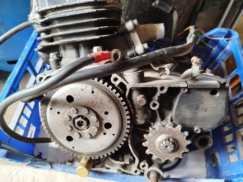 Silnik 50cm Ducati