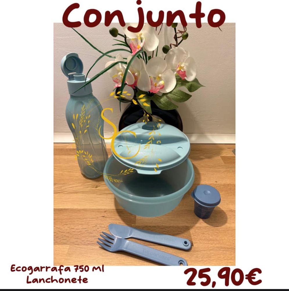Conjunto - tupperware
