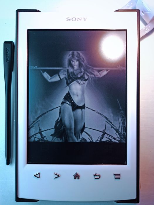 E-book Sony + flashlight + top books fb2