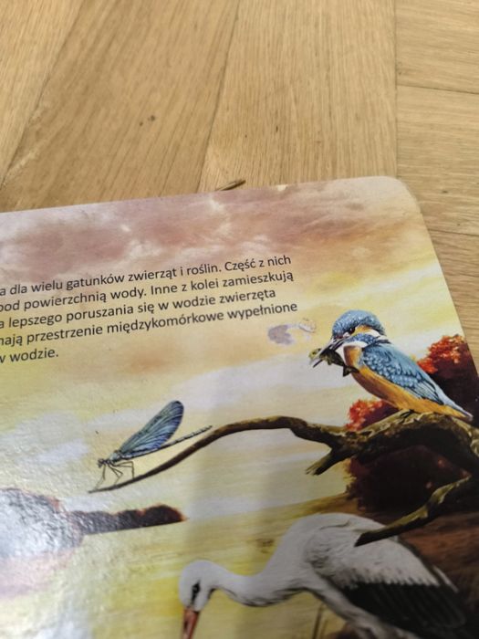 Albik Świat zwierząt