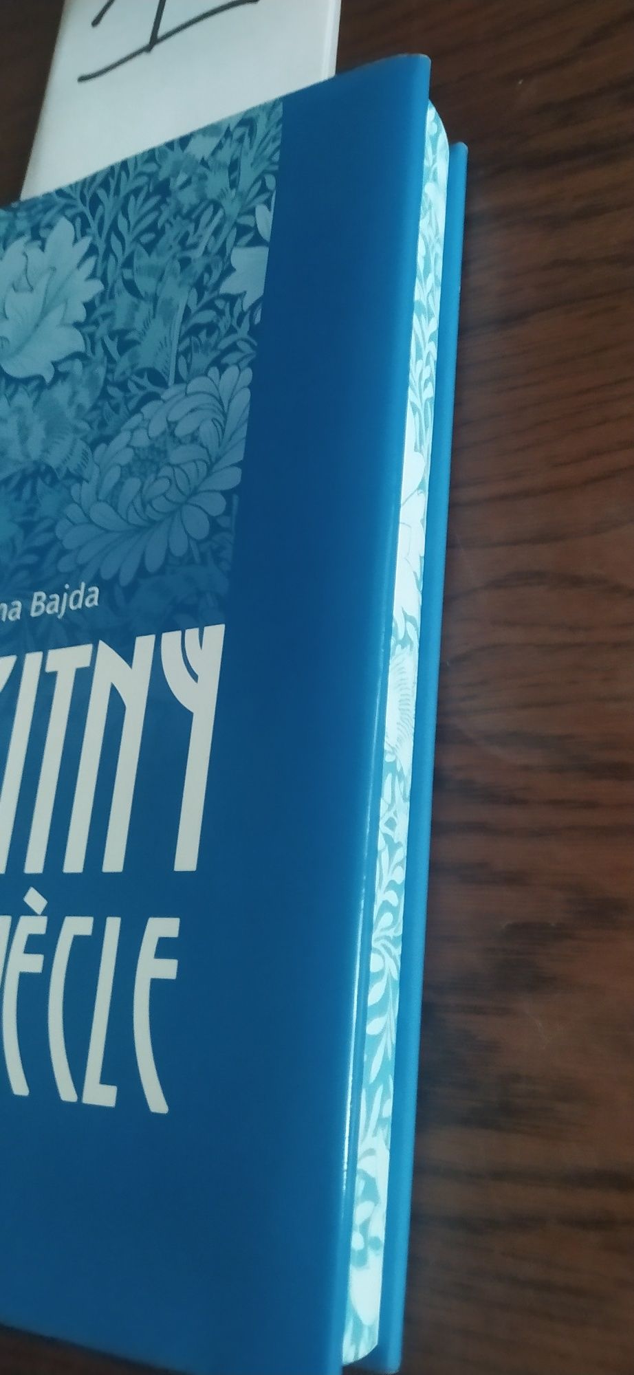 Justyna Bajda Błękitny Fin De Siecle