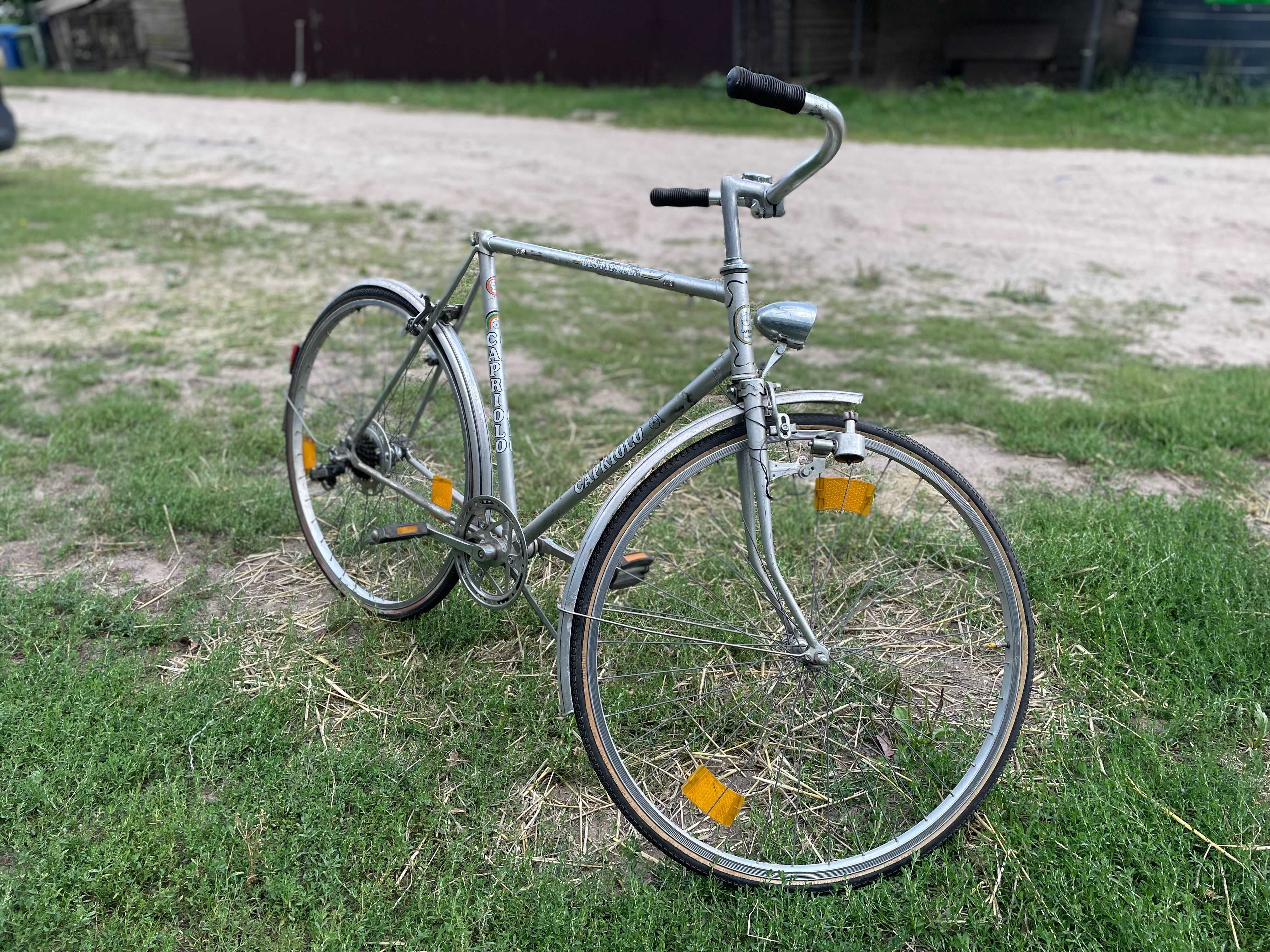 Rower miejski - Custom BIKE - 5 biegów - Vintage - Ręczne malowanie