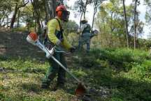Trabalho florestal com roçador