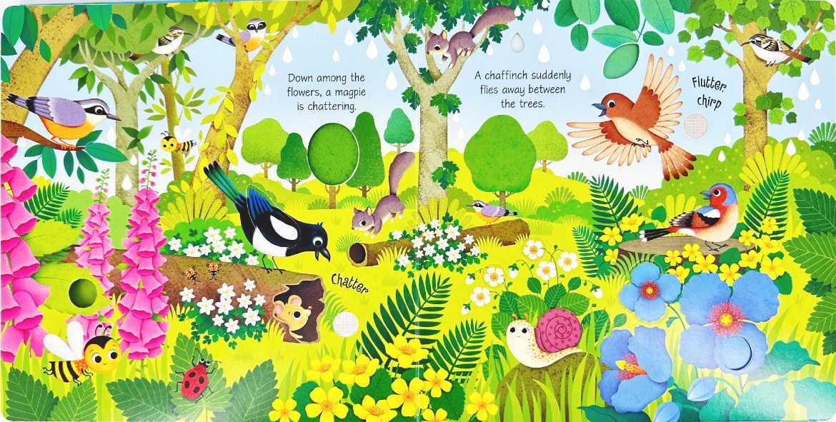 NOWA	Usborne Sound Books Bird Sounds	Sam Taplin