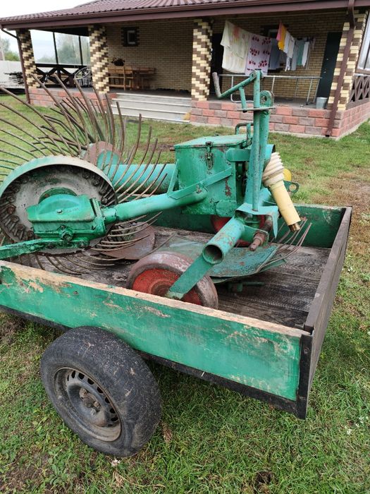 Картоплекопачка німецька