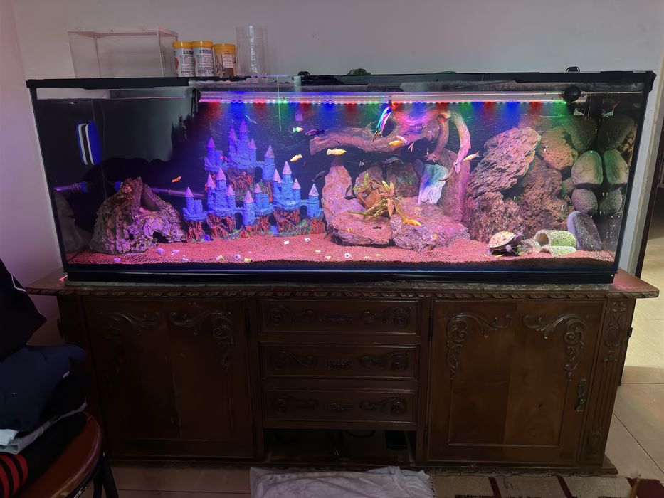 Vendo com tudo  para despachar