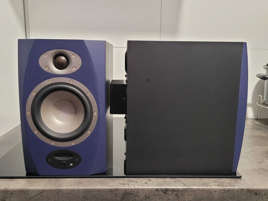 Tannoy Reveal R 5A / B&W/DALI /DYNAUDIO