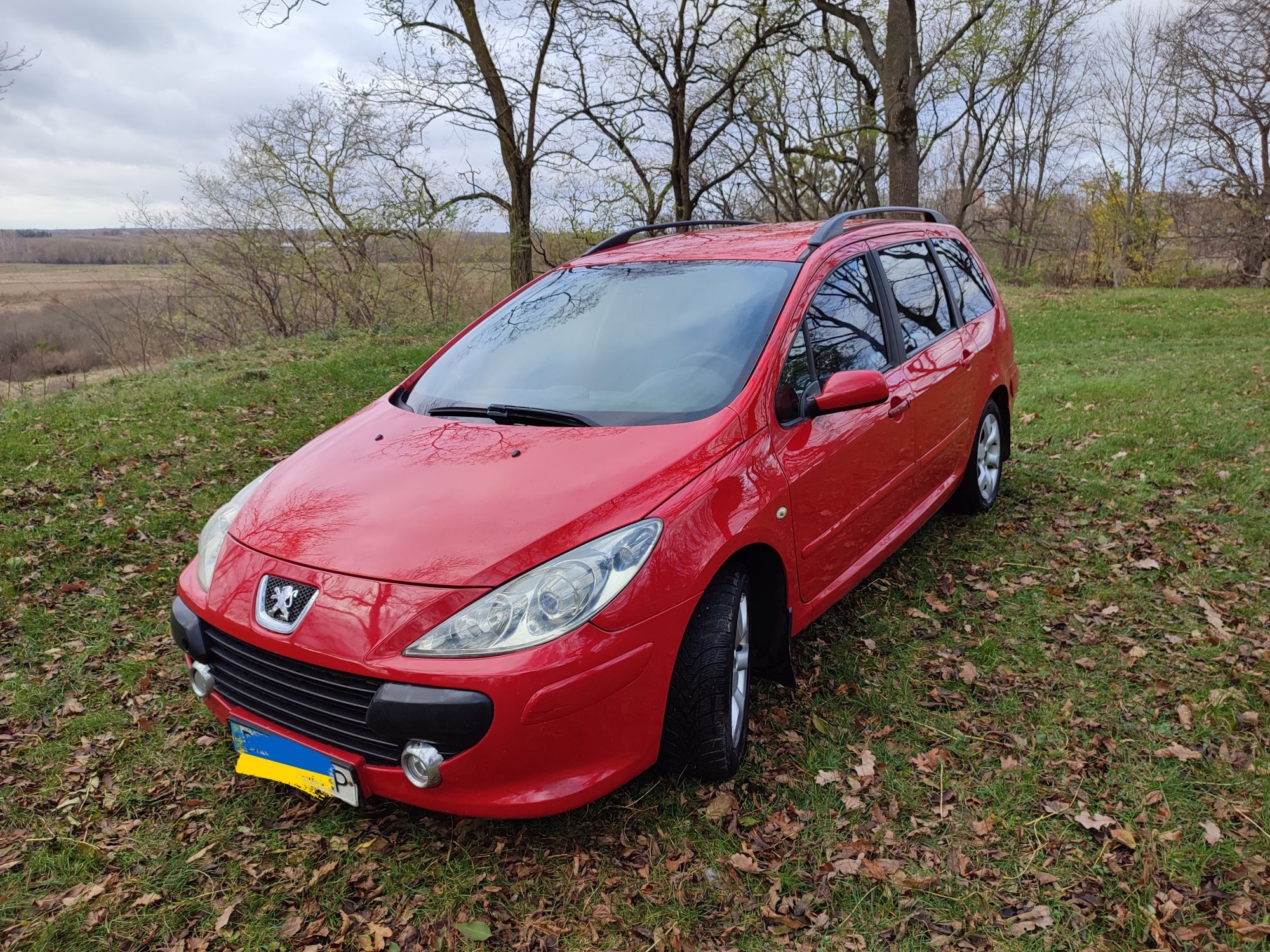 Peugeot 307 2005