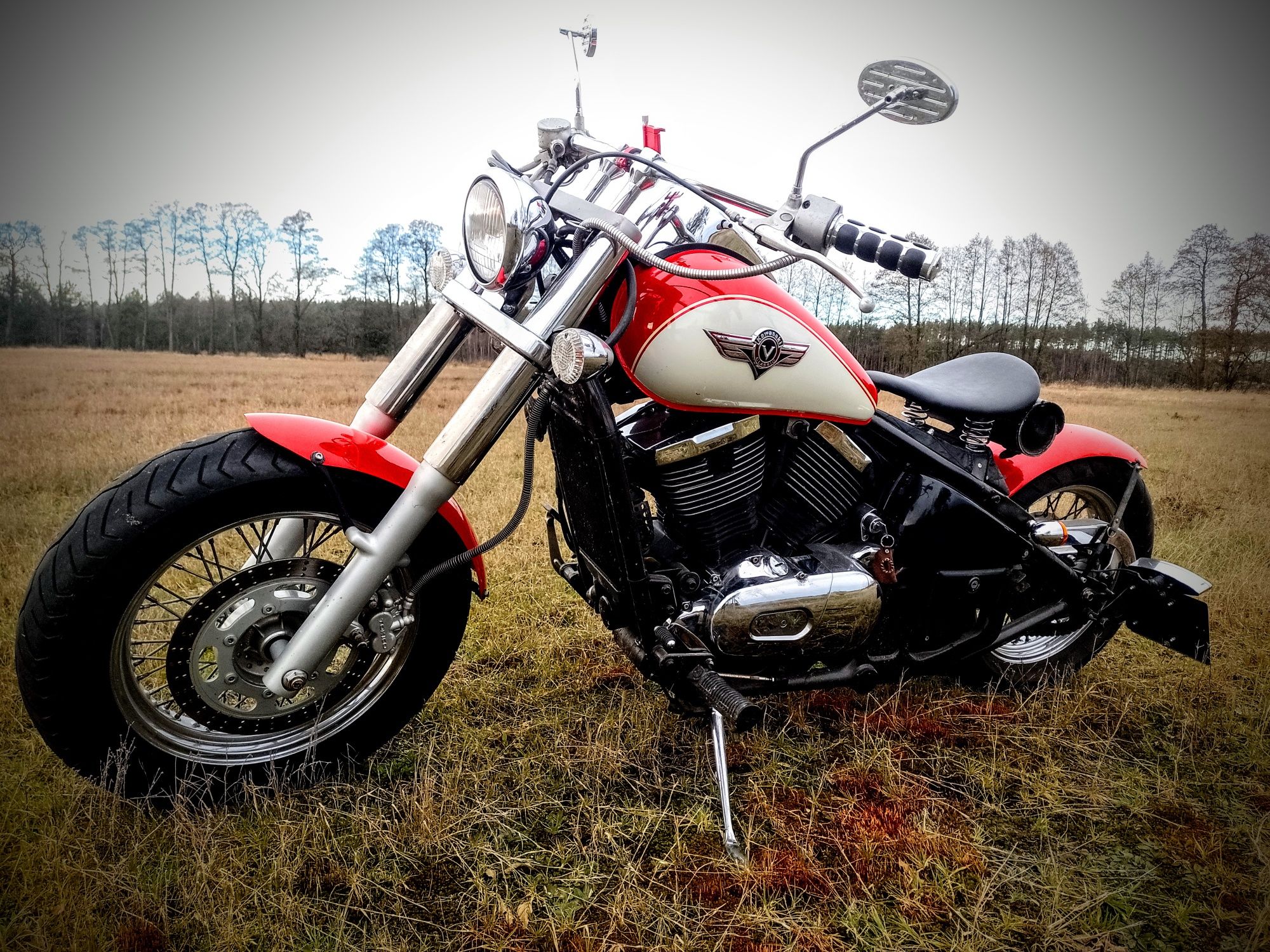 Kawasaki vulkan 800 bobber