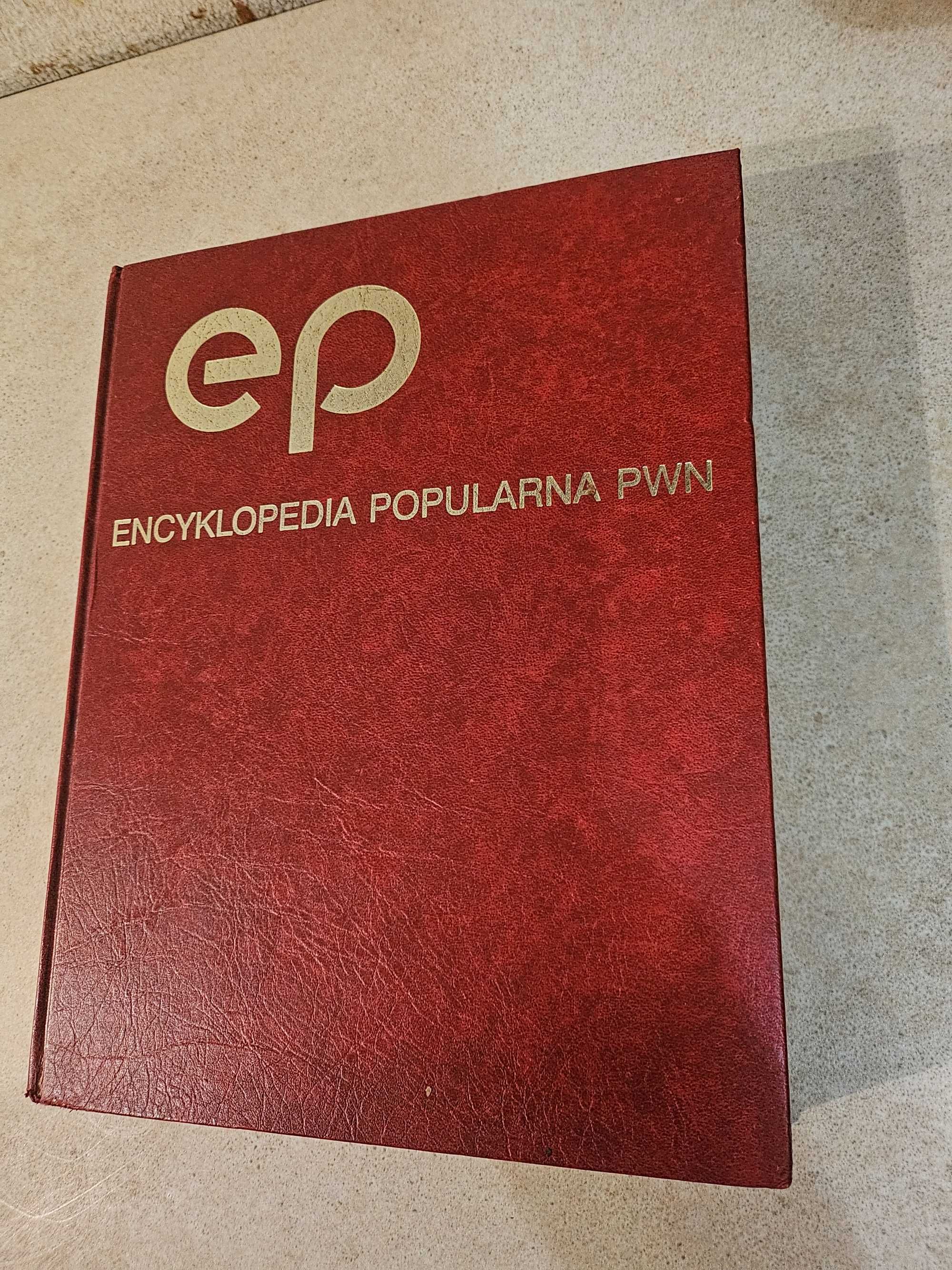 Encyklopedia Popularna PWN