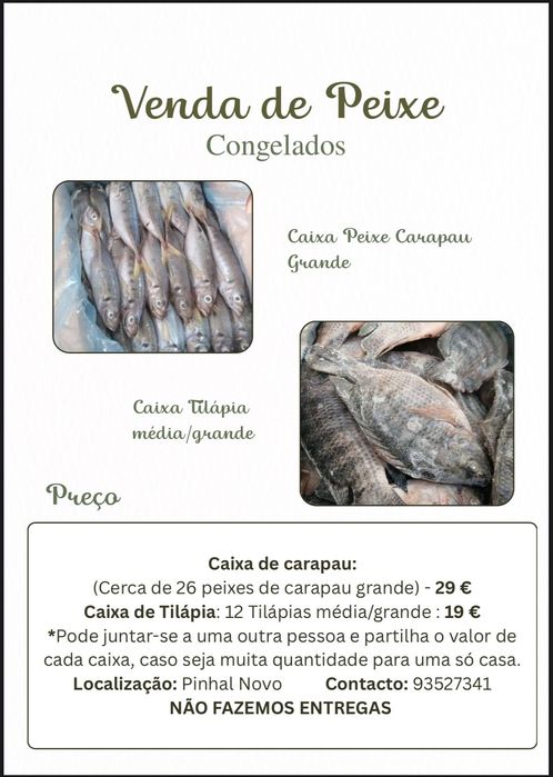 Venda peixe congelado