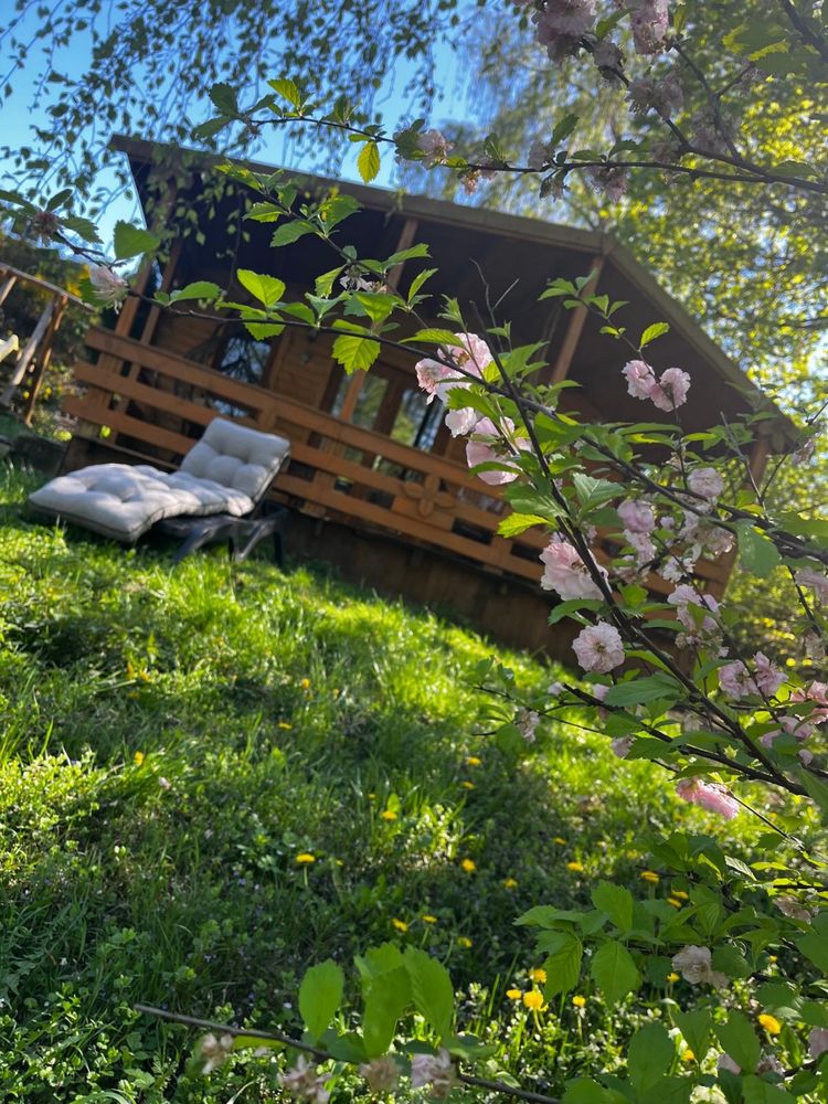 Domek letniskowy nad jeziorem do wynajęcia.