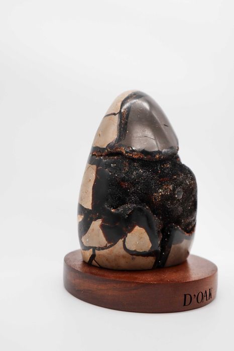 Drusa Septário polido em base de madeira.