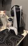 Playstation5 Digital + Pad + Headset Mad Dog