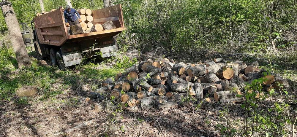 Дрова твердих порід