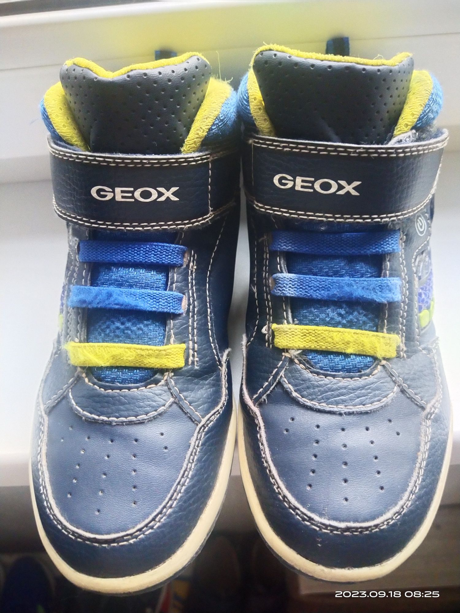 Ботинки деми Geox