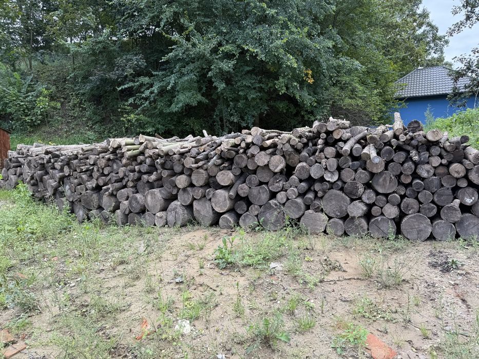 Sprzedam drzewo, drewno opałowe - jesion, klon