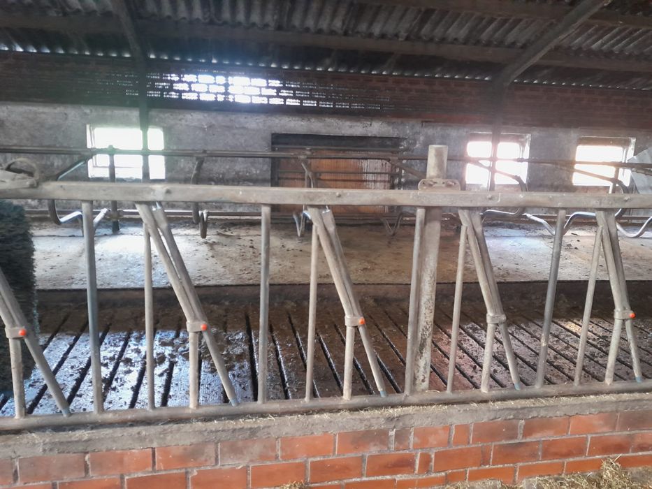 Wygrodzenia dla bydla drabina paszowa  samozatrzaskowa  Spinder