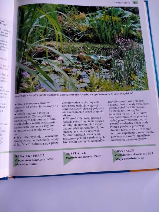 Ogród wodny - Poradnik dla początkujących