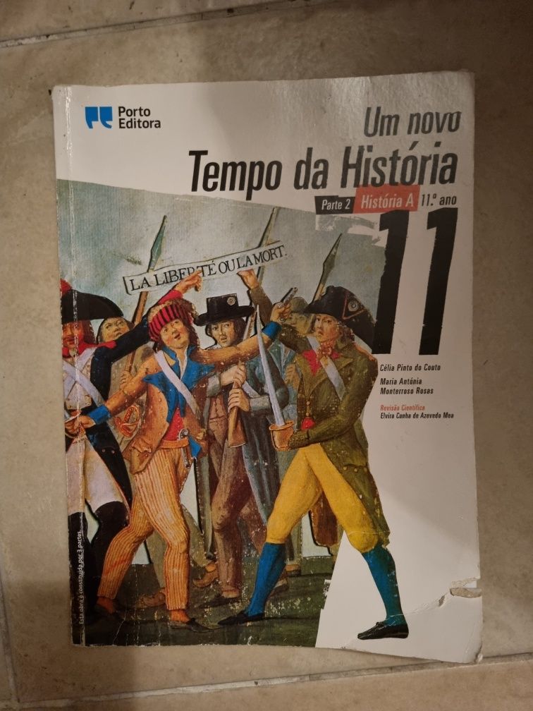 Um novo Tempo da História