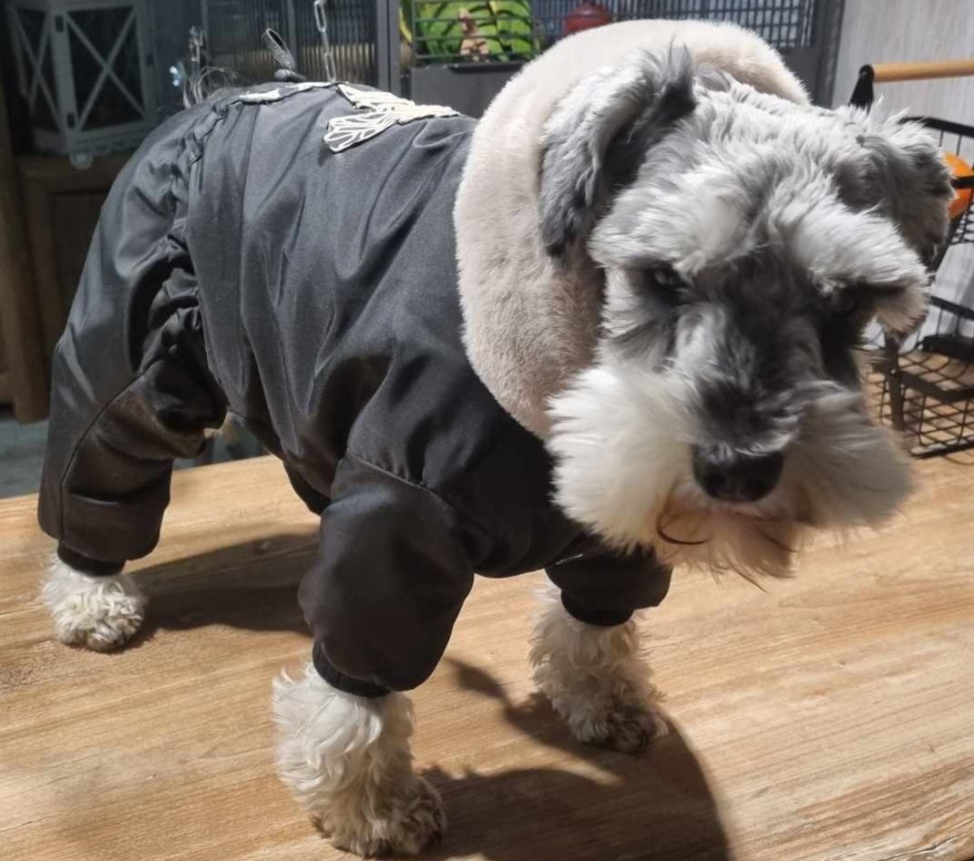 kombinezon nieprzemakalny,zimowy dla york,shihtzu ,maltańczyk na miare