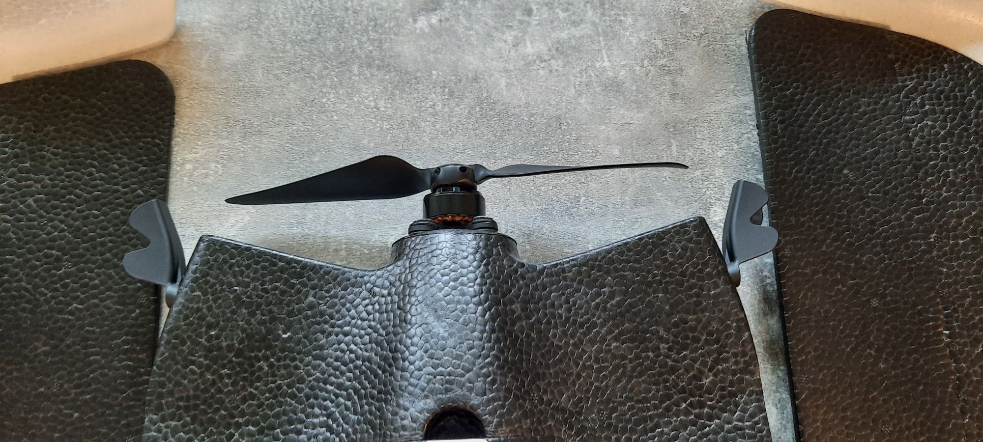 Parrot skrzydełko