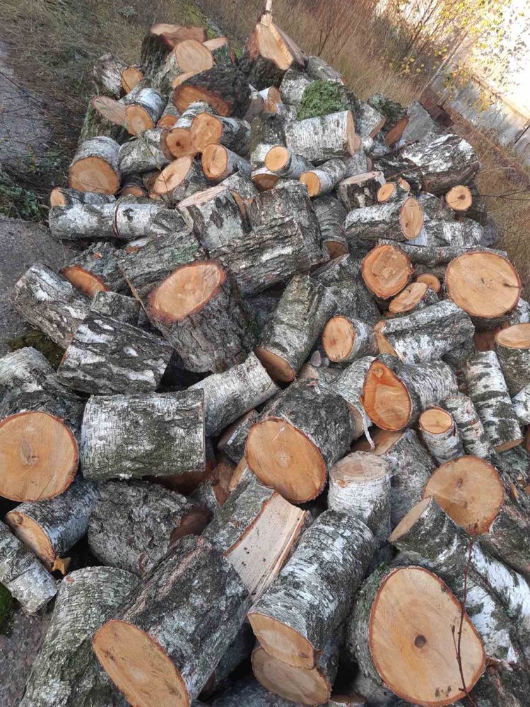 Продам  дрова різних порід