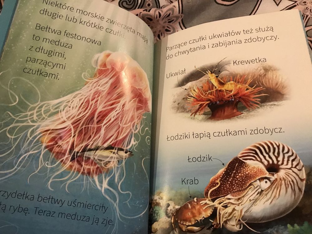 Wybrzeże Młodzi Przyrodnicy