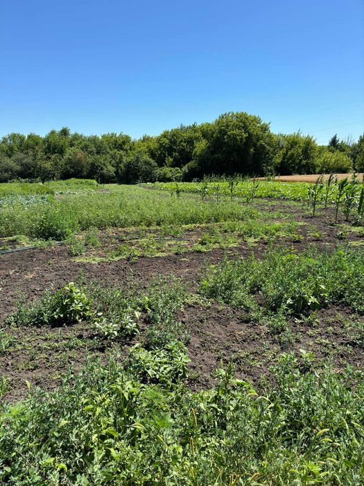 Будинок в Базилевщині розглядаємо державні програми