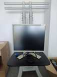 Monitor VGA Eizo FlexScan S1921