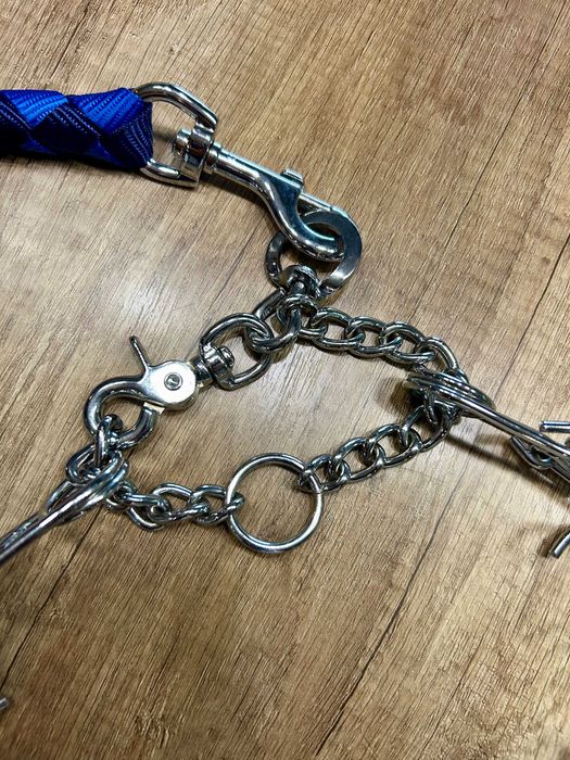 obroża AniOne + kolczatka + smycz 1,5m