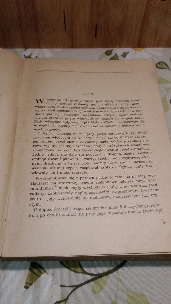 Królestwo bez ziemi. T.1. Burzliwe żywioły. Tadeusz Holuj