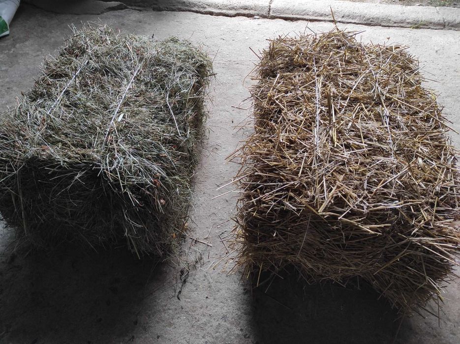 Sprzedam siano i słomę w kostkach, zbiór tegoroczny