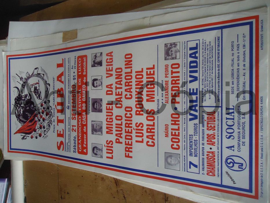 Toiros - Cartazes de Montra 12